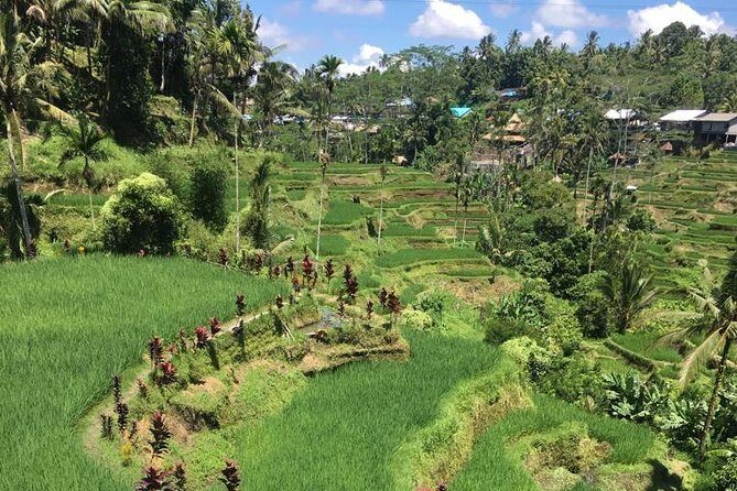Balinese Life Style Tour - Authentic Insights from Travelers