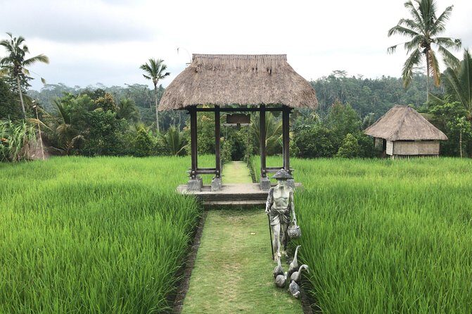 Balinese Life Style Tour - Who’s It Best For?