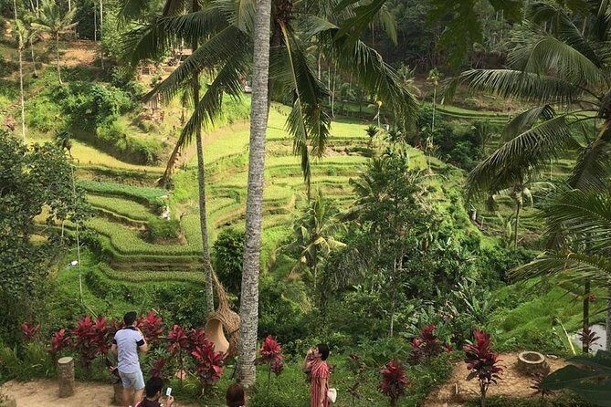 Balinese Life Style Tour - The Sum Up