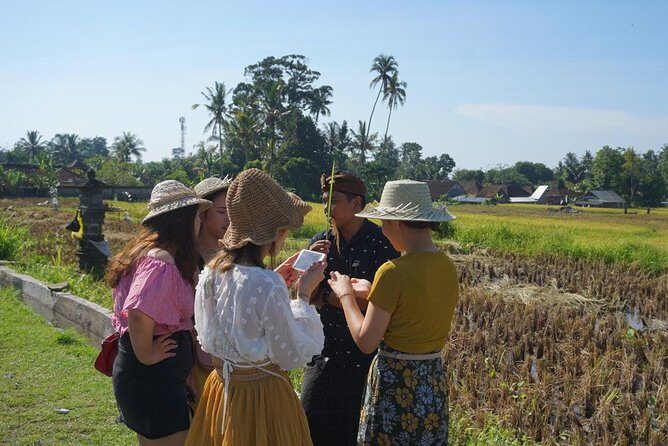Balinese Traditional Food Cooking Class with Ubud Monkey Forest and SPA - Key Points