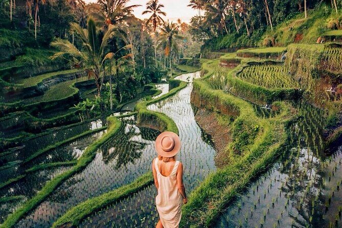 Balis Natural Beauty: Waterfalls, Rice Terraces & Sacred Temple - The Sum Up