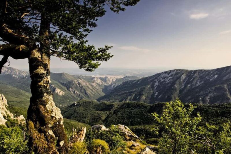 Balkans - Romania: 12-Days Motorcycle Tour 16.08. - 28.08.26 - The Itinerary: A Closer Look at 12 Days of Adventure