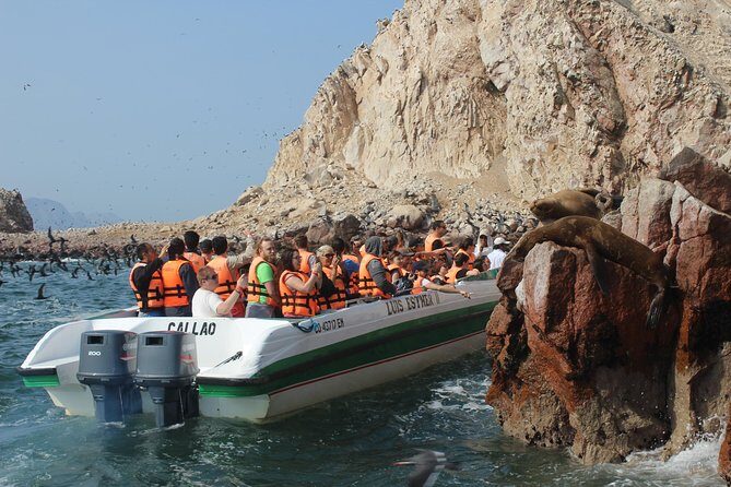 Ballestas Island Tour Sightseeing Boat - Key Points
