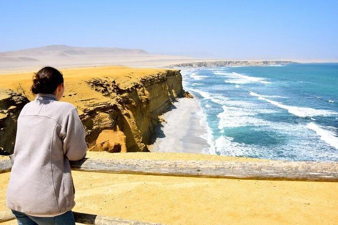 Ballestas Islands and Paracas National Reserve Day Trip from Paracas - A Full Breakdown of the Tour Experience