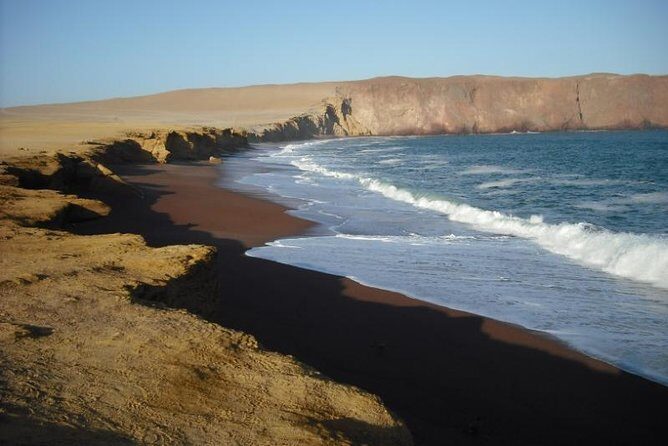 Ballestas Islands and Paracas National Reserve Day Trip from Paracas - Final Thoughts: The Value of a Guided Day Trip