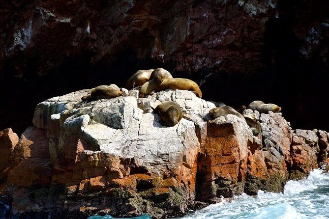 Ballestas Islands and Paracas National Reserve Day Trip from Paracas - FAQs About the Tour