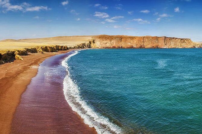 Ballestas Islands and Paracas Reserve from San Martin Port - FAQs