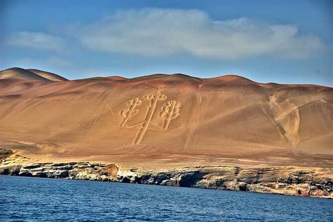 Ballestas Islands and Paracas Reserve Tour from Puerto San Martin - Key Points