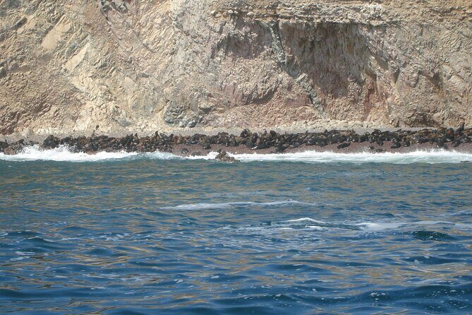 Ballestas Islands and Paracas Reserve Tour from Puerto San Martin - Frequently Asked Questions