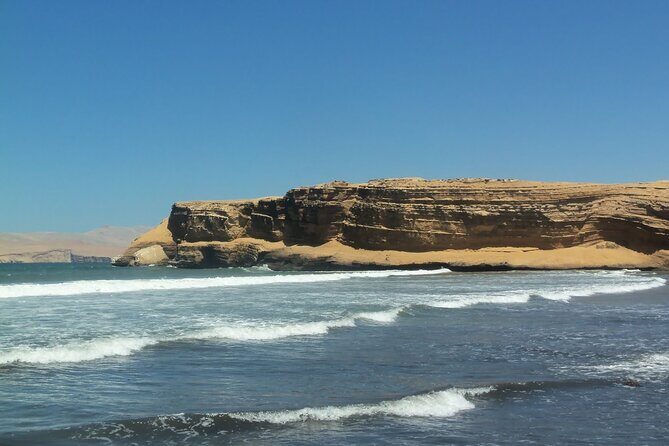 Ballestas Islands and Paracas Reserve Tour from Puerto San Martin - Final Thoughts