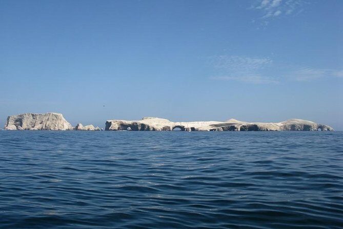 Ballestas Islands Boat Tour in Paracas - The Practical Side: What You Need to Know