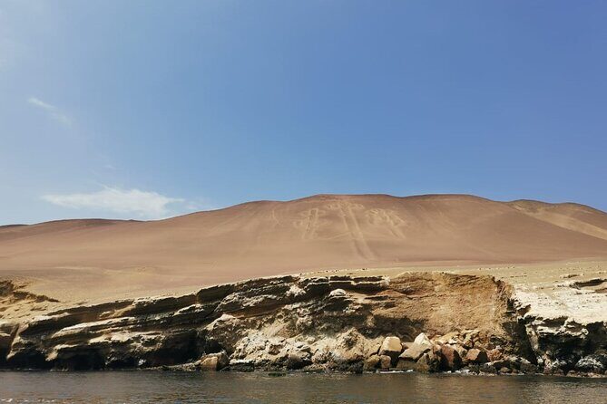 Ballestas Islands for Cruise Ship Passenger Paracas Harbour - In-Depth Review: What to Expect from Your Ballestas Islands Tour