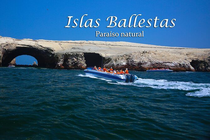Ballestas Islands & National Reserve of Paracas from Ica - In-Depth Review of the Tour Experience