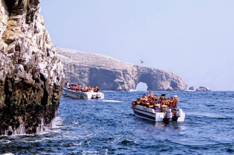 Ballestas Islands Tour - Who Should Consider This Tour?