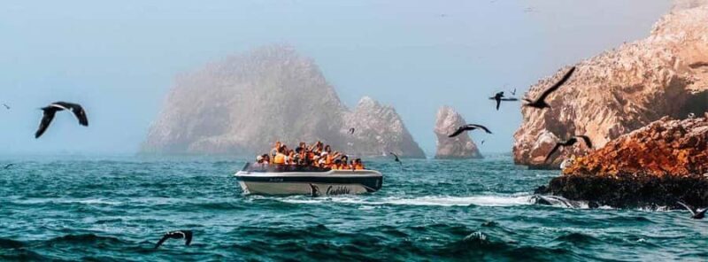 Ballestas Islands Tour - A Closer Look at the Tour Experience