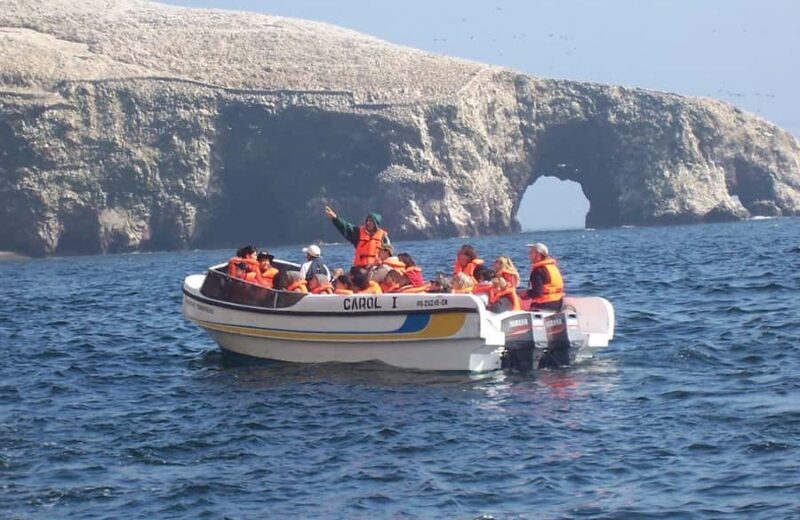 Ballestas Islands Tour - A Thorough Breakdown for Curious Travelers