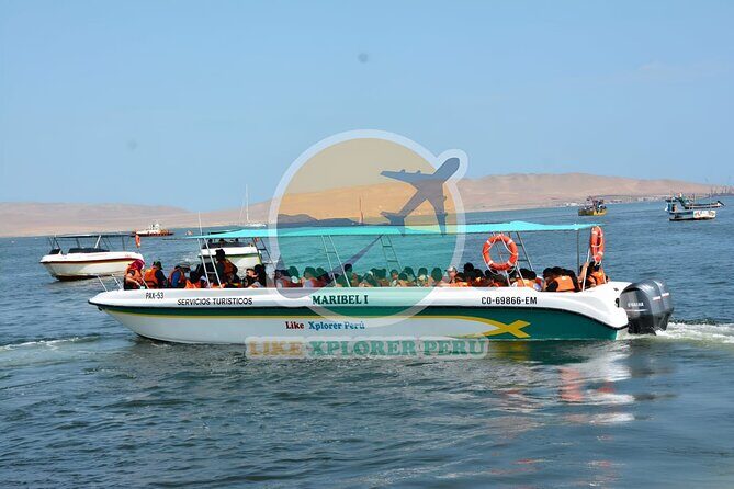 Ballestas Islands Tour Boat with roof - In-Depth Review of the Ballestas Islands Boat Tour
