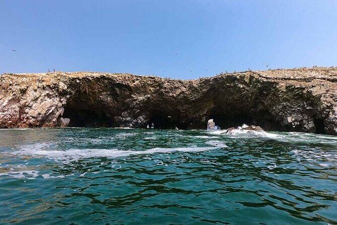 Ballestas Islands Tour from Puerto San Martin Cruise - Who Should Consider This Tour?