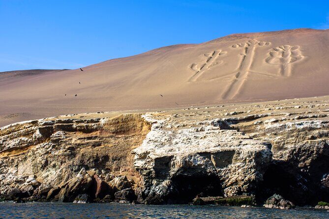 Ballestas Islands, Vineyards and Buggies in Huacachina from Ica - Key Points