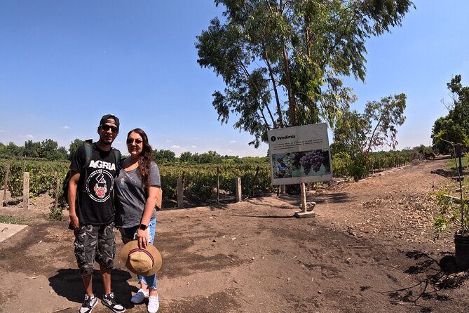 Ballestas Islands, Vineyards and Buggies in Huacachina from Ica - In-Depth Review of the Tour