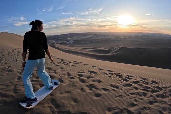 Ballestas Islands, Vineyards and Buggies in Huacachina from Paracas - Final Thoughts: Who Will Love This Tour?