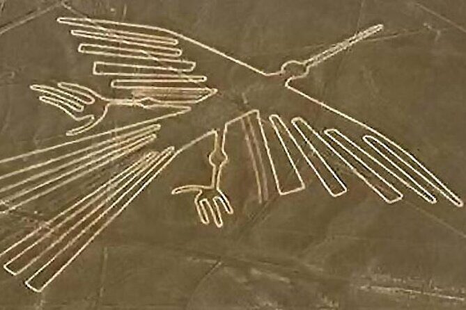 Ballestas, Paracas, Nazca Lines & Huacachina - 2 Days Experience - Discovering the Best of Peru in Two Days