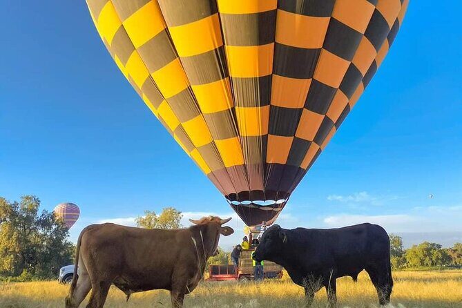 Balloon Flight over Teotihuacan with Breakfast in Cueva - Key Points