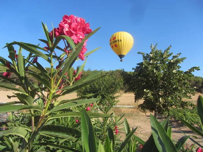 Balloon flight: panoramic view of Montserrat and Transport from Barcelona - Key Points