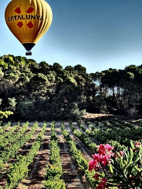 Balloon flight: panoramic view of Montserrat and Transport from Barcelona - Who Should Consider This Tour?