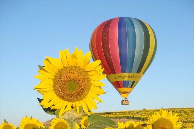 Balloon Rides in Segovia with Optional transportation from Madrid - Key Points