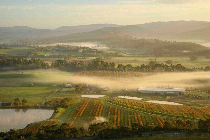 Ballooning in Yarra Valley with Breakfast - The Sum Up: Is It Worth It?