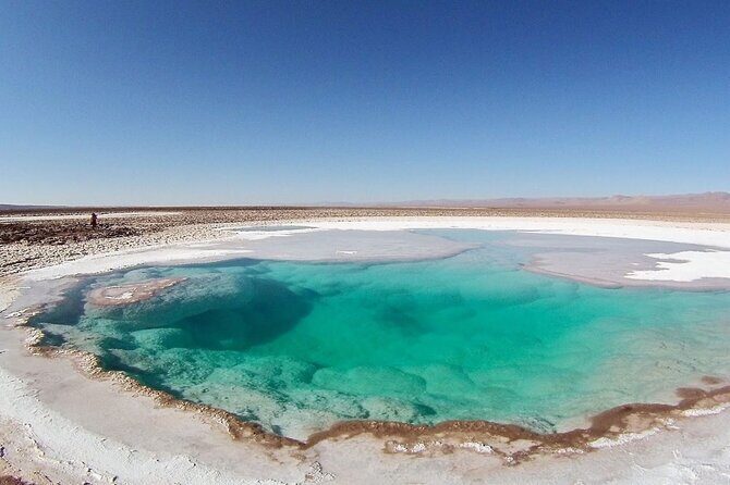 Baltinache Hidden Lagoons in Atacama - Who Will Enjoy This Tour?