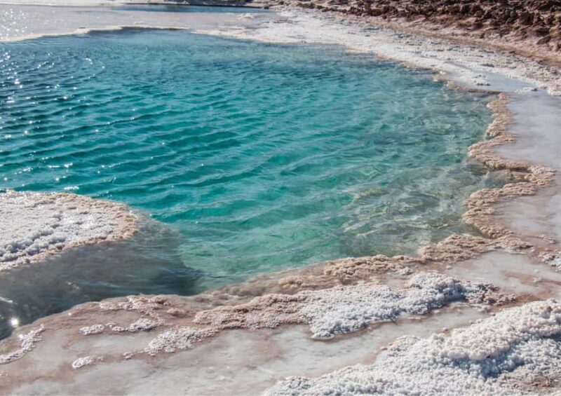 Baltinache Lagoons - Tour : San Pedro de Atacama - Chile - Key Points