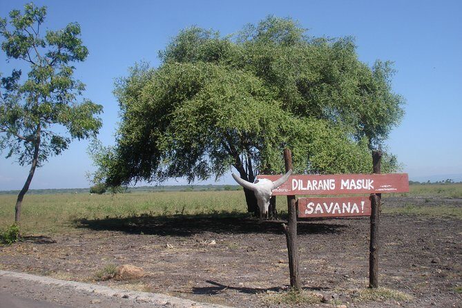 Baluran Trip - Key Points