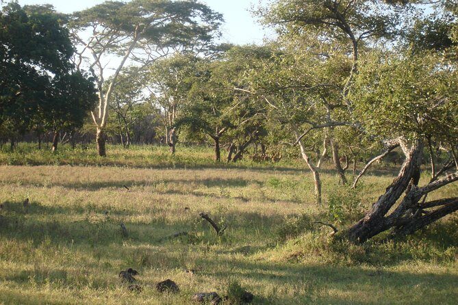 Baluran Trip - Frequently Asked Questions