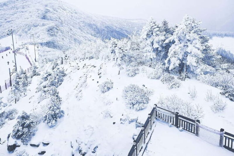 Balwangsan Cable Car & Samyang Ranch One Day Tour - Key Points