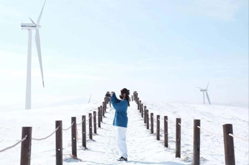 Balwangsan Cable Car & Samyang Ranch One Day Tour - Exploring the Balwangsan & Samyang Ranch Tour in Detail