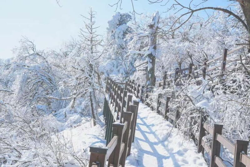 Balwangsan Cable Car & Samyang Ranch One Day Tour - Final Thoughts