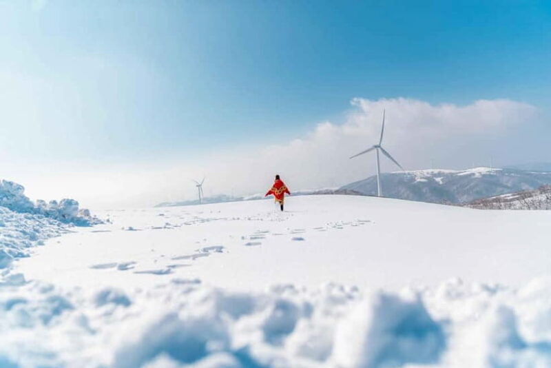 Balwangsan Cable Car & Samyang Ranch One Day Tour - FAQ