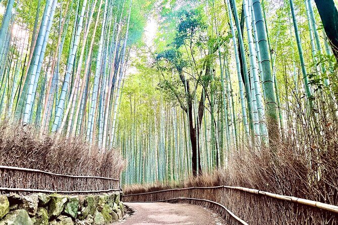 Bamboo Grove Temple and Garden Views Tour - Exploring Kyoto’s Arashiyama: A Balanced Look at the Bamboo Grove Temple and Garden Views Tour