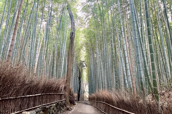 Bamboo Grove Temple and Garden Views Tour - Final Thoughts