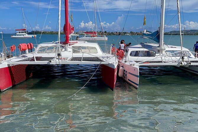 Bamboo Rafting and Catamaran Boat Cruise in Montego Bay - Why This Tour Works for You