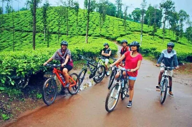 Bamboo Village & Cycling Tour in Wayanad - Final Thoughts