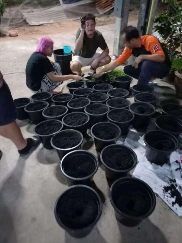 Ban Chik: Organic Farm Tour with Tasting - Exploring Ban Chik: A Closer Look