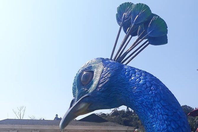 Bana Hills - Golden Hands Bridge Private Tour - The Sum Up