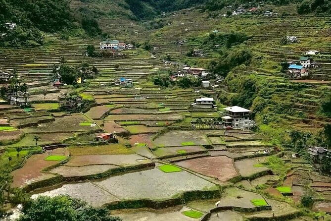 Banaue-Sagada A 7 days Northern Adventure Trip - An In-Depth Look at the 7-Day Northern Philippines Tour