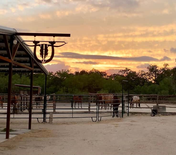Bandera: Ranch Visit with Longhorns and Horses - Exploring Bandera: A Genuine Western Town