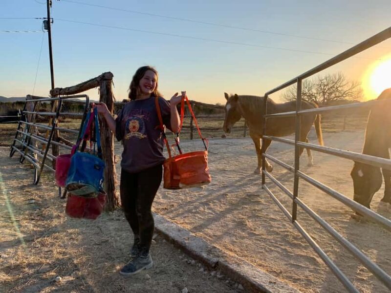 Bandera: Ranch Visit with Longhorns and Horses - Authentic Ranch Life and Family Fun