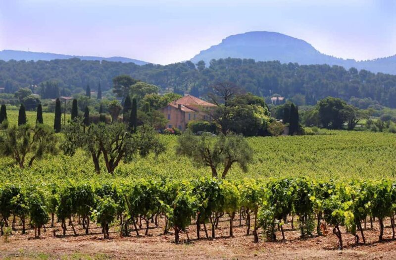 Bandol and Cassis: Full Day Wine Tour from Marseille - Key Points