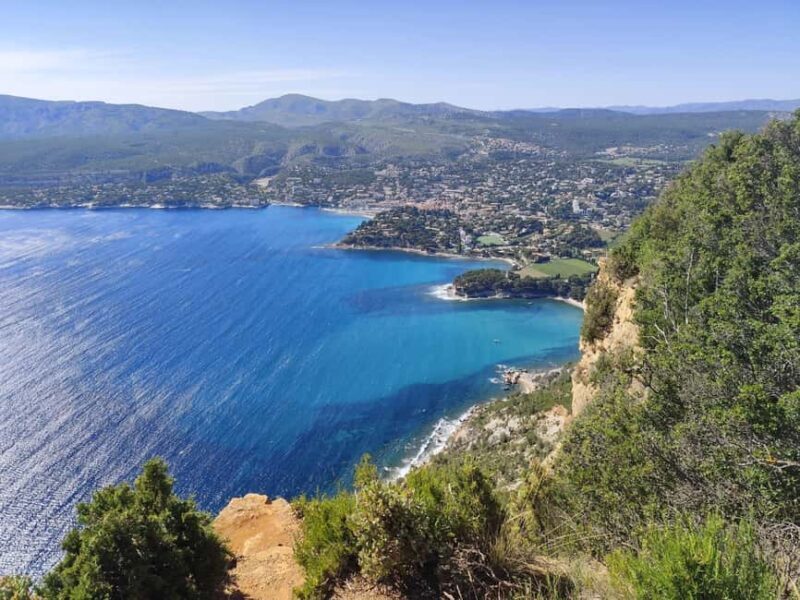 Bandol and Cassis: Full Day Wine Tour from Marseille - Detailed Breakdown of the Experience